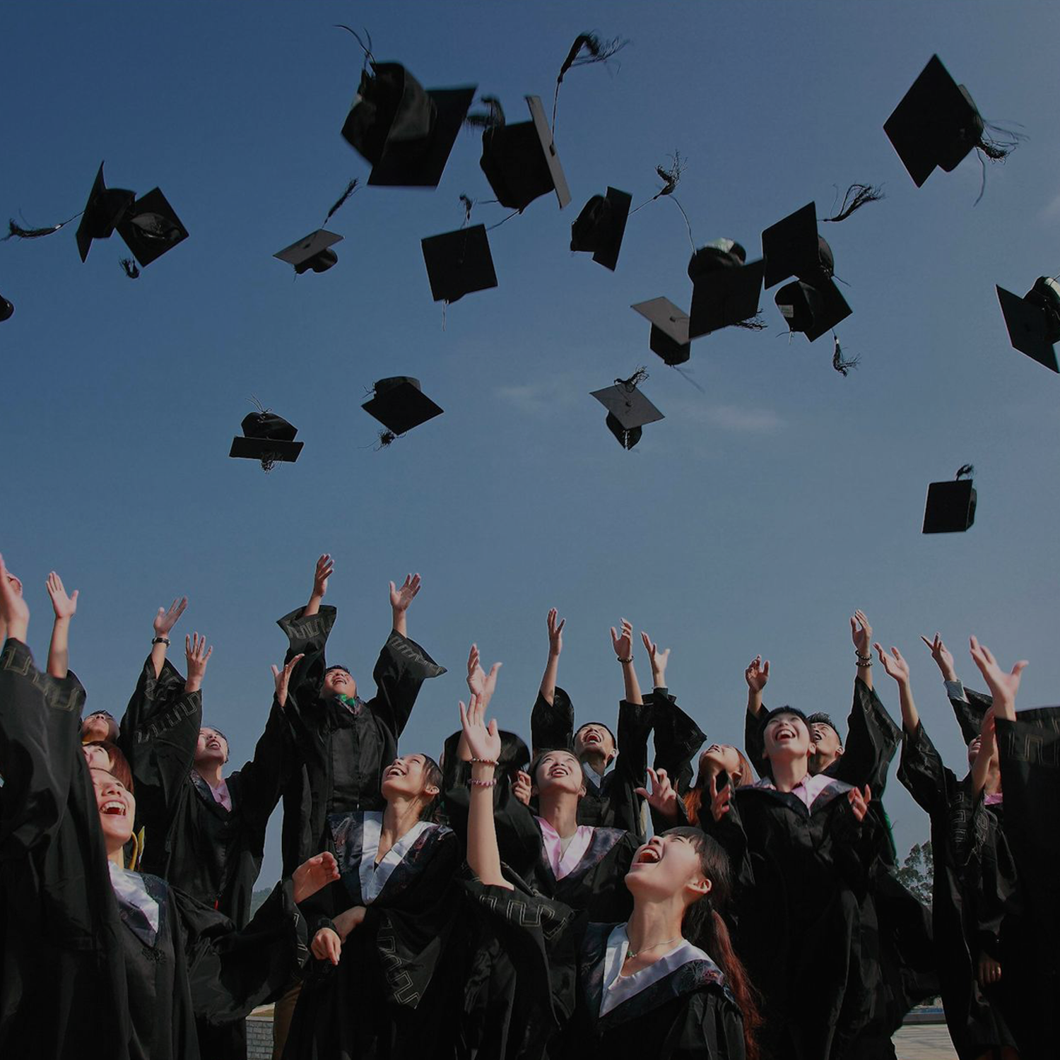 IAS Long Term (For Graduates)